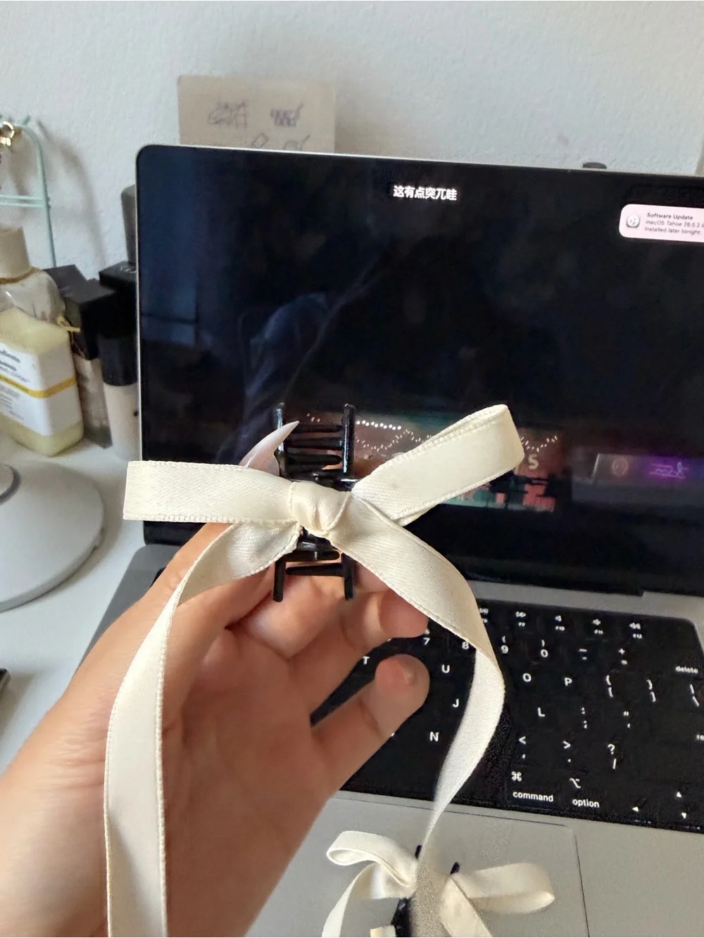 Cream Ribbon Hair Clips - Pair